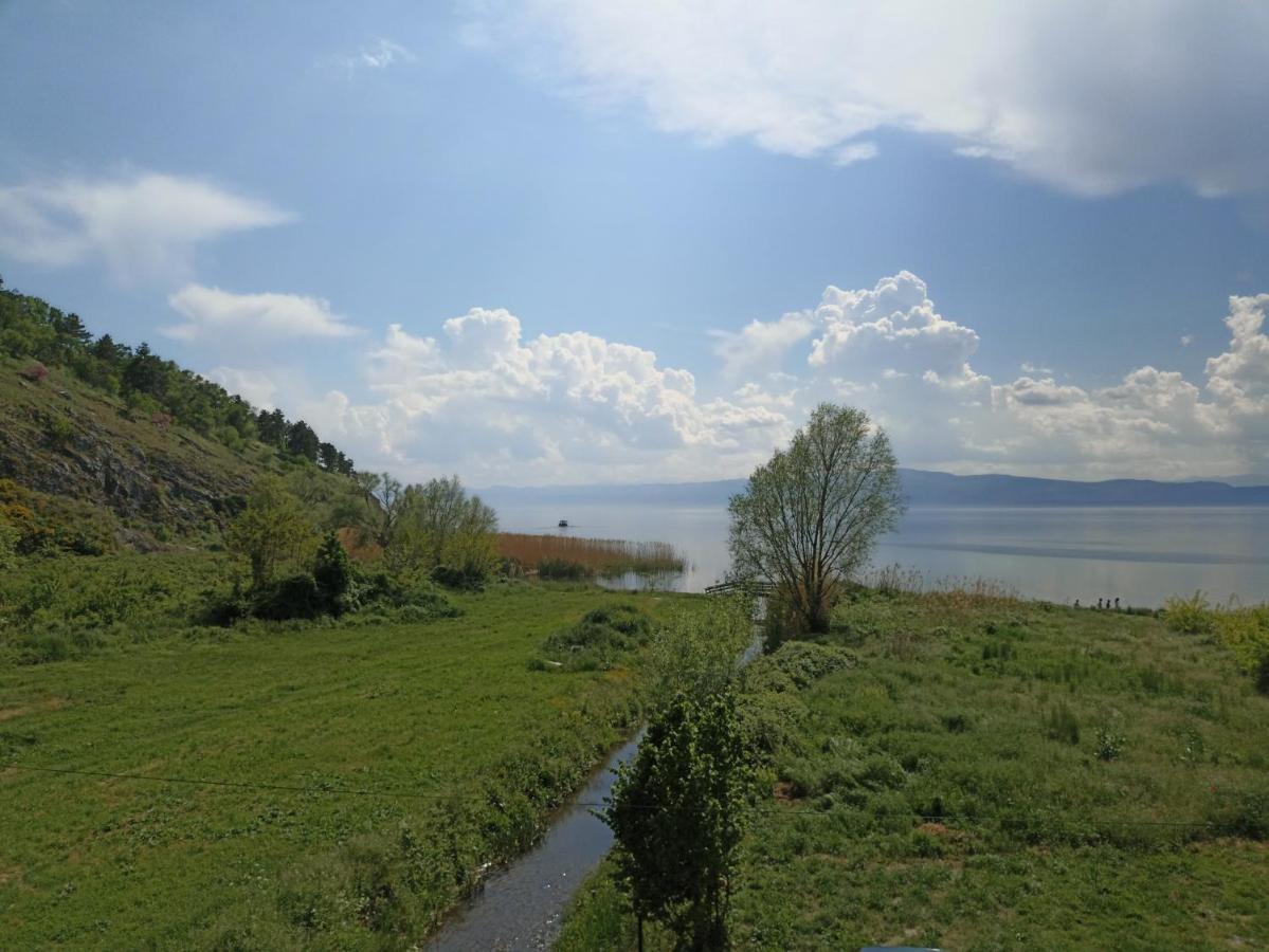 Vila Sara Ohrid Extérieur photo