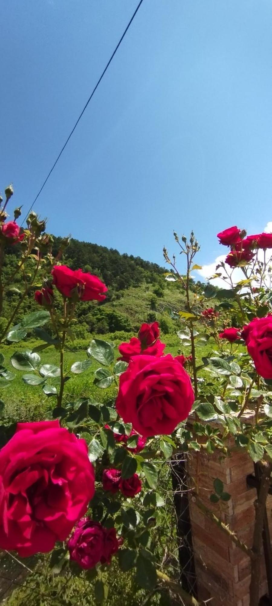 Vila Sara Ohrid Extérieur photo
