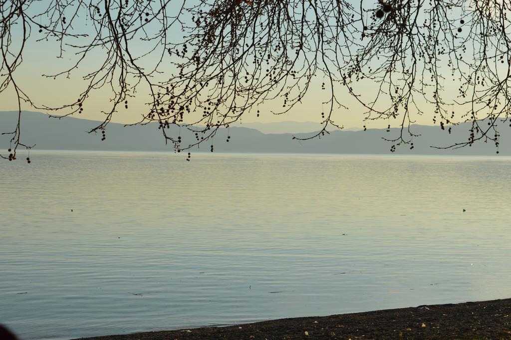 Vila Sara Ohrid Extérieur photo